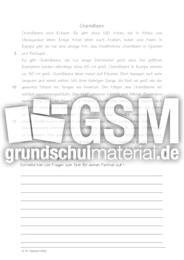 Chamäleon.pdf